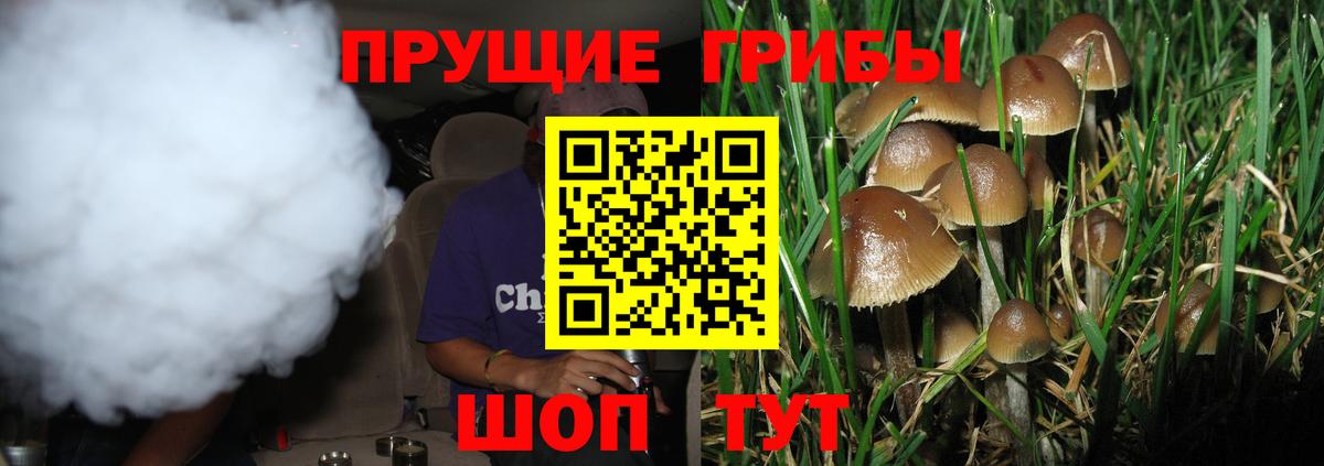 Галлюциногенные грибы MAGIC MUSHROOMS Якутск