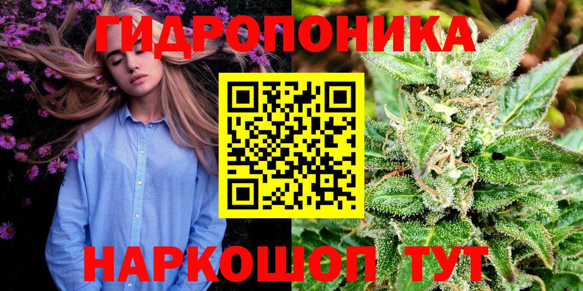 Каннабис MAZAR  Конопля планчик  Вход с VPN  Канабис семена  Якутск 
